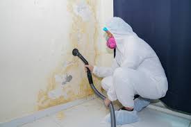 Best Basement Mold Removal in Brookhaven, MS